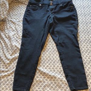 Torrid Jeans